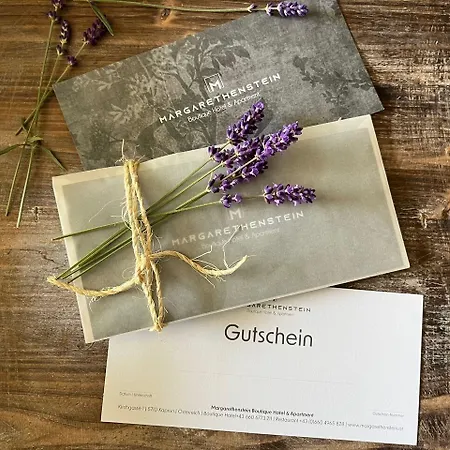 Margarethenstein Boutique Including Zell Am Summercard And Air Condition 4*